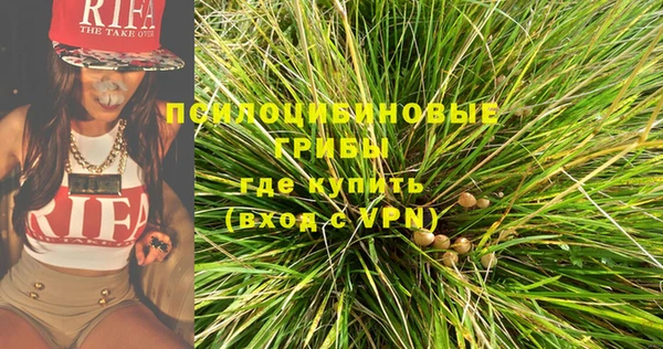 бутират Богородицк