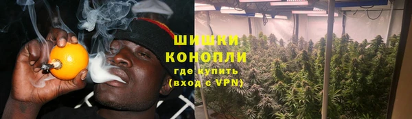 каннабис Богданович