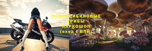 каннабис Богданович