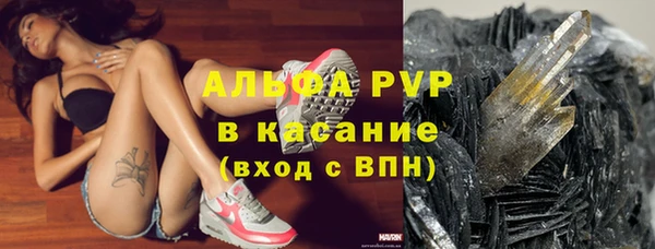 каннабис Богданович