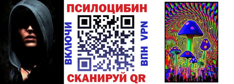 mega сайт  Калининец  Псилоцибиновые грибы мицелий 